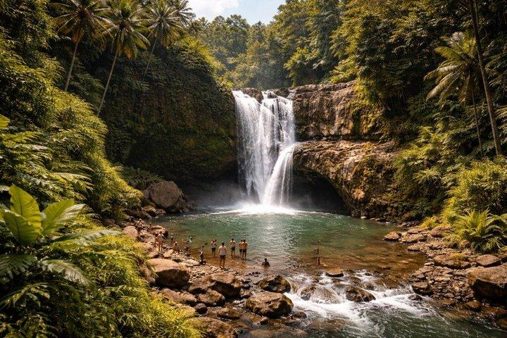 Ubud privat tur risfält tempel vattenfall.