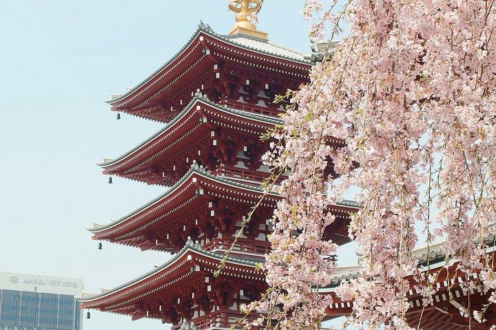 ガイド付き東京プライベートツアー：パーソナライズされた体験