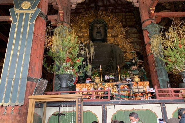 奈良の鹿、大仏＆伝統餅体験