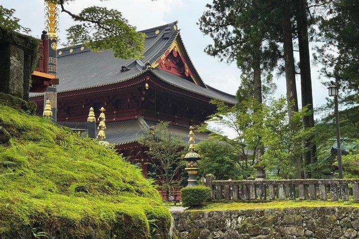 Private Nikko Day Trip from Tokyo UNESCO Sites and Scenic Beauty