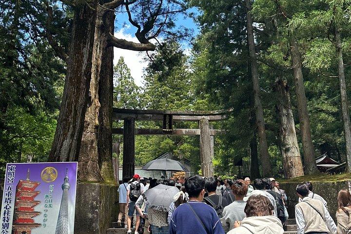 東京から車で富士山と箱根を巡るローカルガイド付きツアー