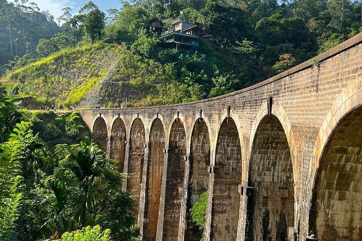 Ella Scenic Train Ride and Nine Arches Bridge Adventure