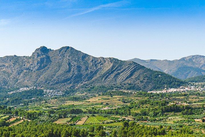 モライラからタルベナまで、2CVで巡る山々とブドウ畑のプライベートツアー