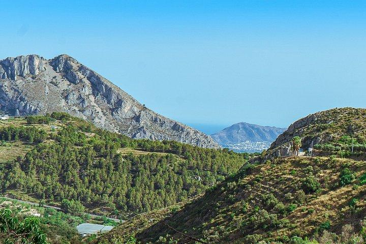 モライラからタルベナまで、2CVで巡る山々とブドウ畑のプライベートツアー