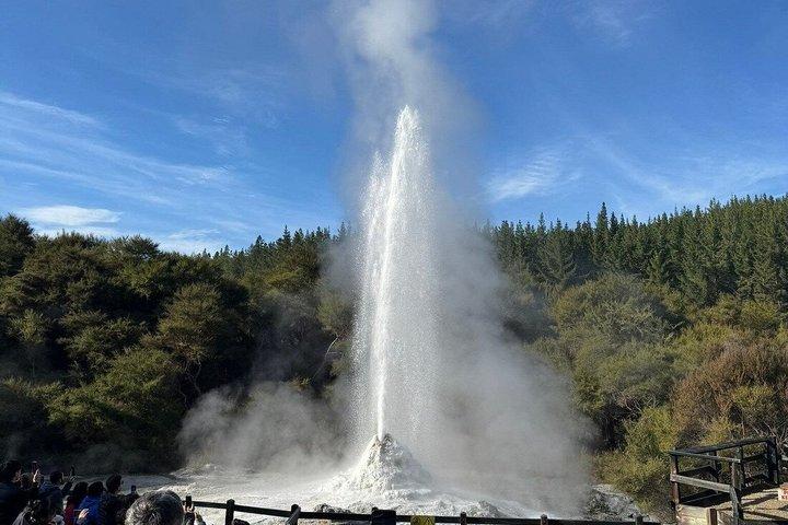 ロトルアワイオタプサーマルワンダーランドチケット