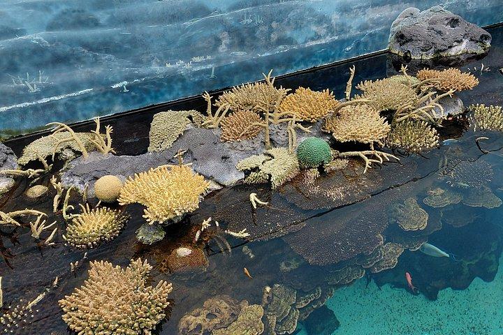 海、科学、そして景色：家族のような現代のリスボン