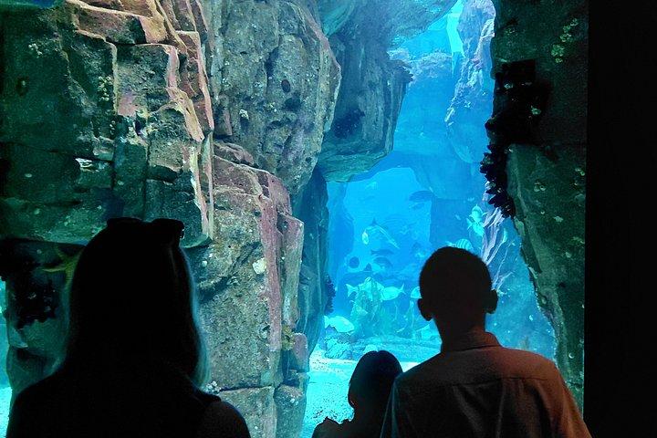 海、科学、そして景色：家族のような現代のリスボン