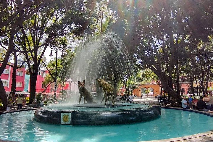 ソチミルコ自然保護区 - 人形の島 - コヨアカン