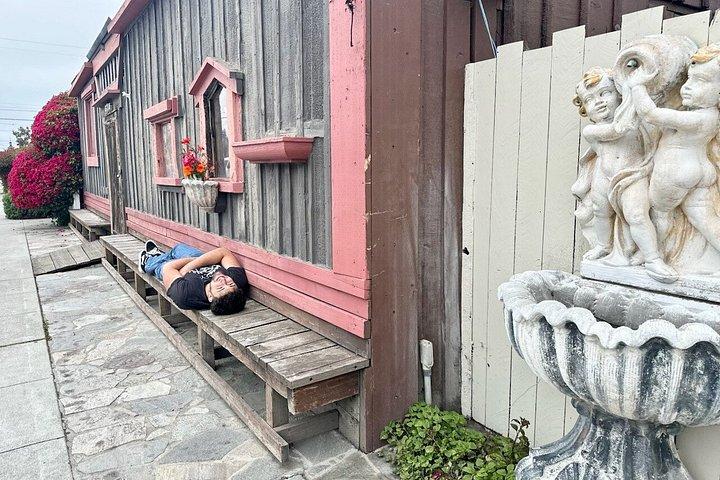 Instagram Art Photo Shoot Tour
