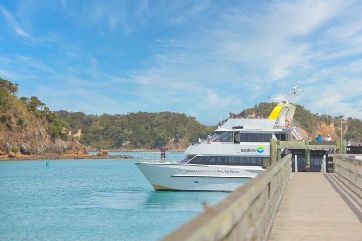 Bay of Islands Dolfijnen Eco Cruise Marine Wildlife Avontuur