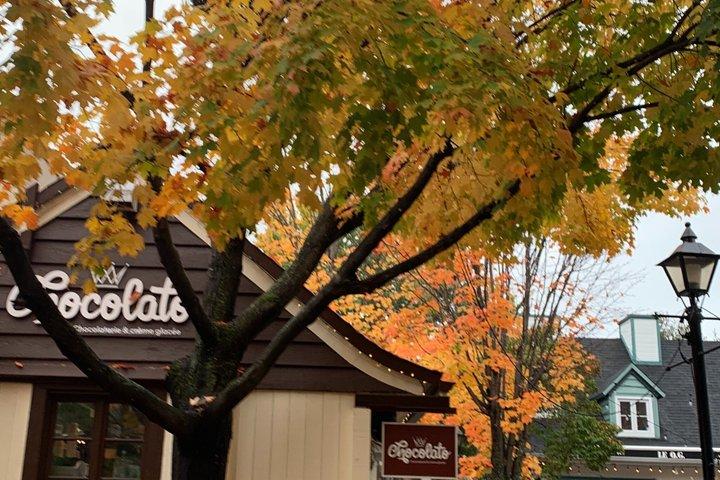 From Montreal to Mont Tremblant Full Day Tour at the Village