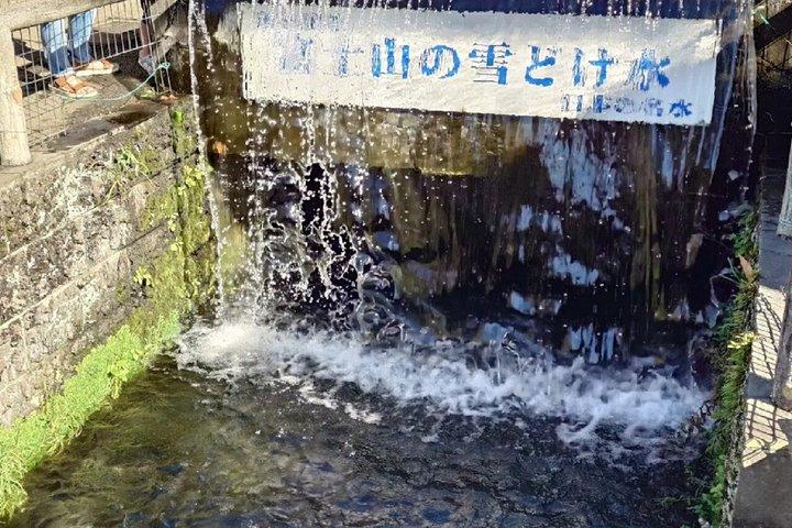 Mount Fuji Lake Kawaguchi and Matcha Experience