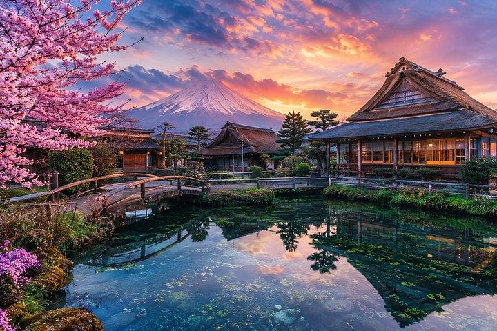 Private Mount Fuji and Hakone One Day Tour