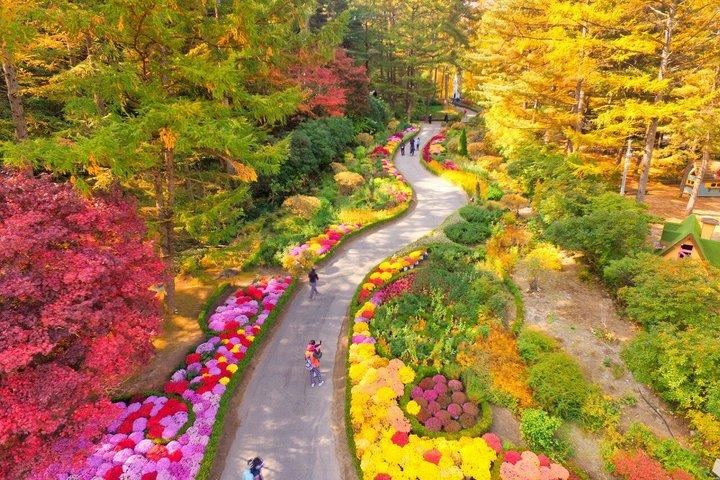 ナミ島日帰り旅行、アチムゴヨ樹木園付き