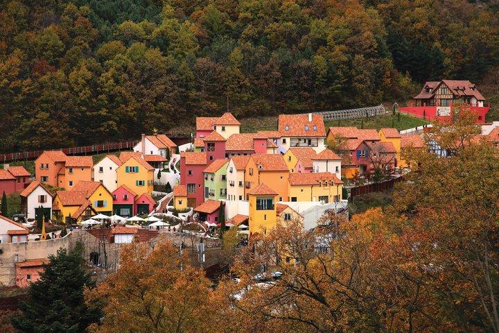 ソウル発プチフランスイタリア語村日帰り旅行