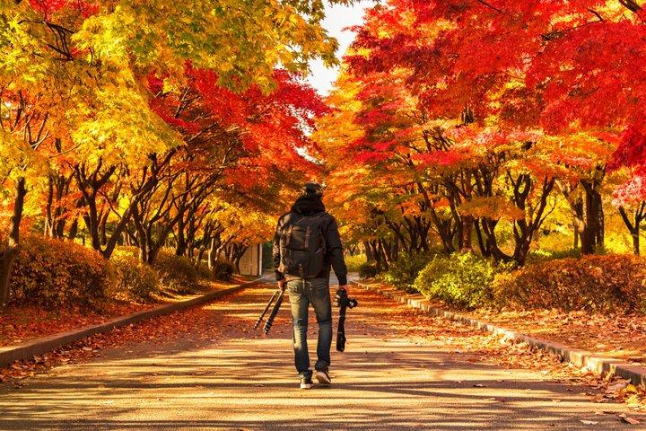 Day Trip to Nami Island with The Garden of Morning Calm