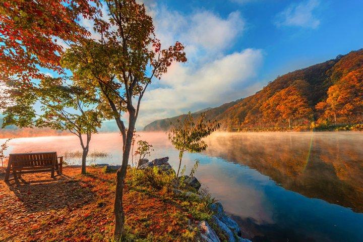 Day Trip to Nami Island with Rail bike and The Garden of Morning Calm