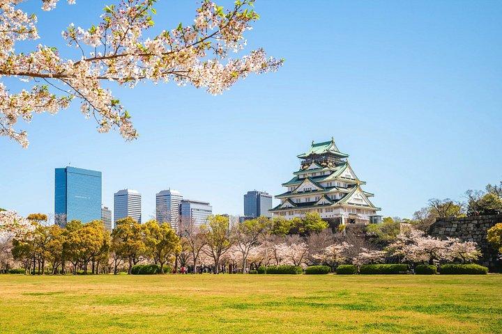 マルチ日帰りツアー東京～大阪ゴールデンルートフレキシブルプラン
