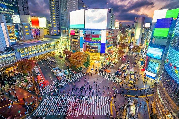 マルチ日帰りツアー東京～大阪ゴールデンルートフレキシブルプラン
