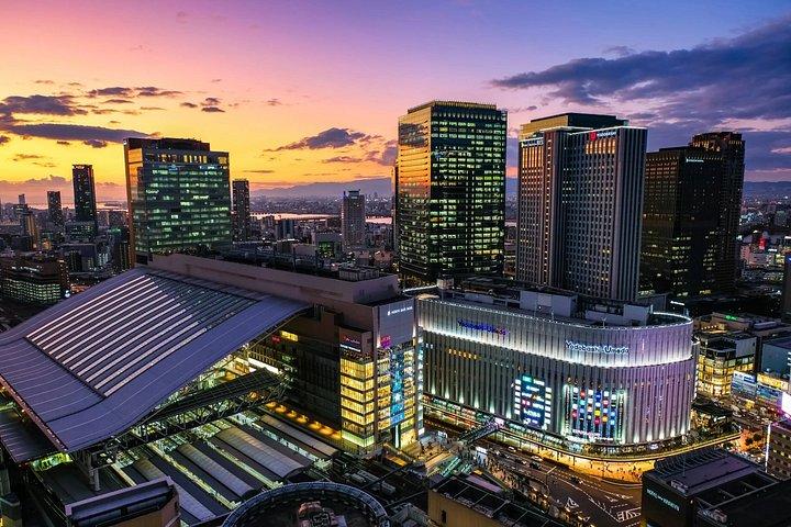 マルチ日帰りツアー東京～大阪ゴールデンルートフレキシブルプラン