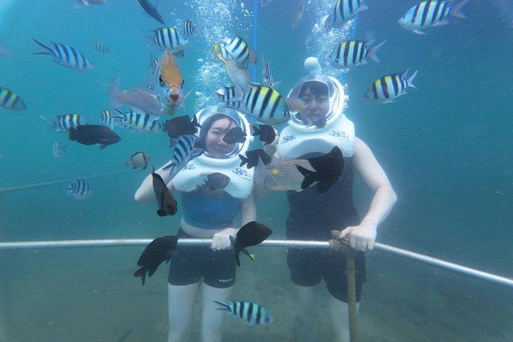水中ウォーキングエクスカーションでホイアンからの終日チャム諸島クルーズ