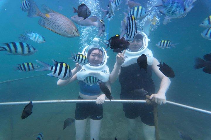 水中ウォーキングエクスカーションでホイアンからの終日チャム諸島クルーズ