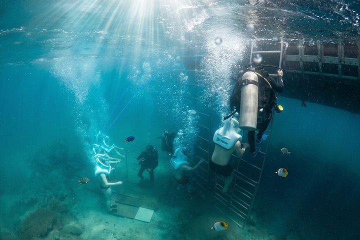 水中ウォーキングエクスカーションでホイアンからの終日チャム諸島クルーズ
