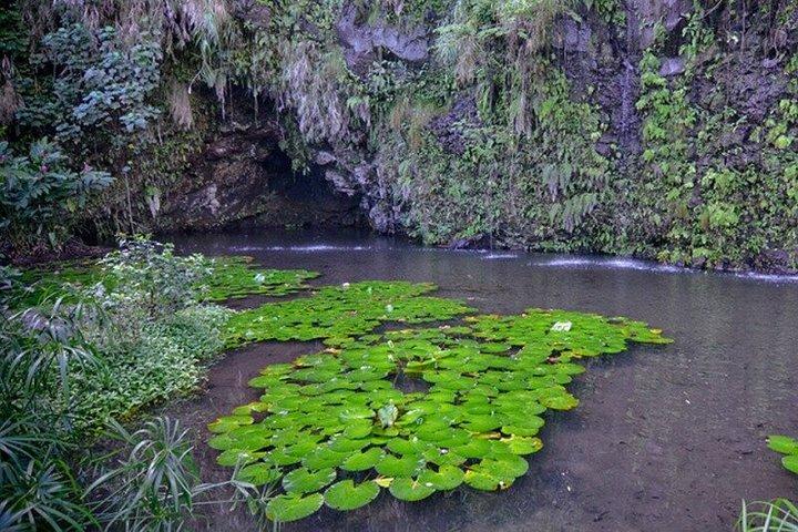 タイヌイと一緒に西タヒチからテアウポオまでの神話の旅