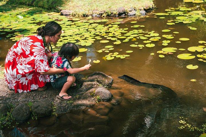 タイヌイと一緒に西タヒチからテアウポオまでの神話の旅