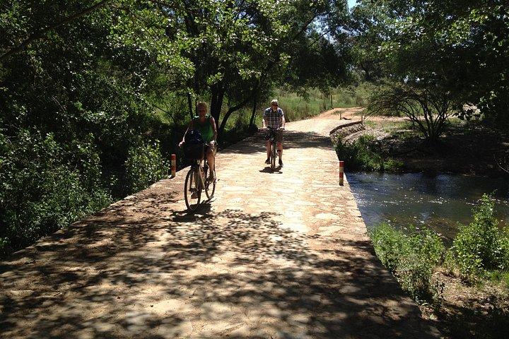 シエラノルテ自然公園へのプライベートEバイク終日小旅行