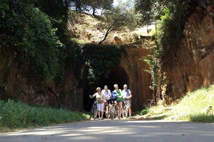 シエラノルテ自然公園へのプライベートEバイク終日小旅行