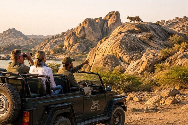 10 - デイ・インディア・ワイルドライフ・ツアー：ヒョウ、トラ、タージ・マハル