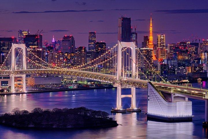 東京：チームラボプラネッツ＆お台場ガイドツアー