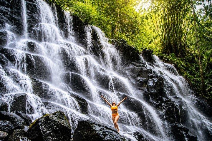 Ubud Waterfalls, Rice Terrace & Jungle Swing - Private Tour