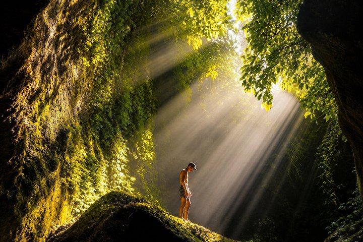Cascate di Ubud, terrazza di riso e altalena della giungla - Tour privato