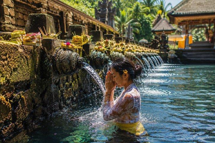 Cascate di Ubud, Tempio dell'Acqua e Terrazza di Riso - Tour Privato