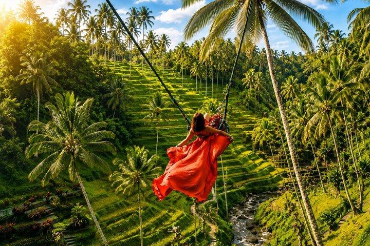 Bali Swing, Monkey Forest & Ubud Waterfalls - Private Tour