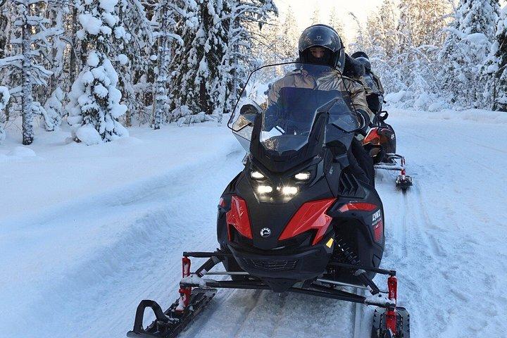 Arctic Forest Snowmobile Sleigh Ride with Snacks