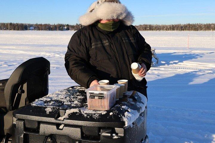 ハスキーとトナカイ体験3日間ラップランドオーロラ