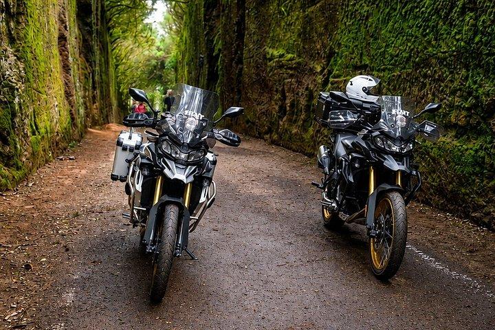 山と森を巡る穴賀ガイド付きバイクツアー