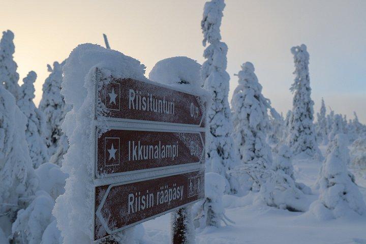 Riisitunturi国立公園への旅行