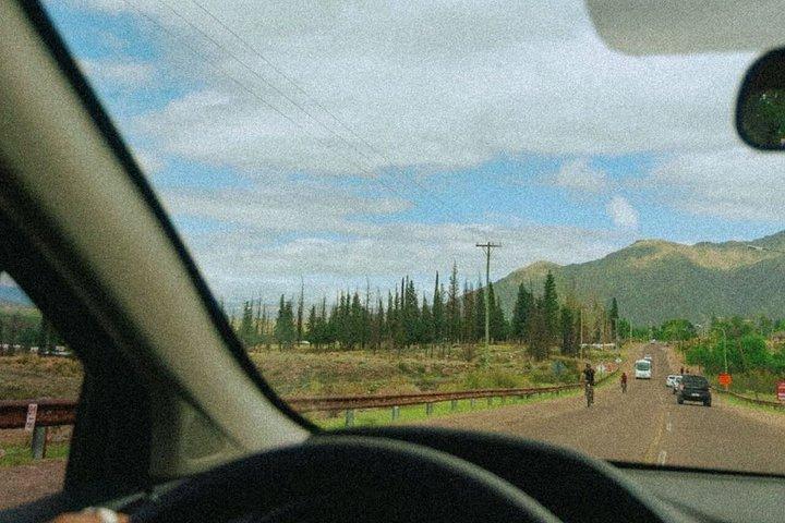 High Private Half-Day Mountain : Foals and Lunch