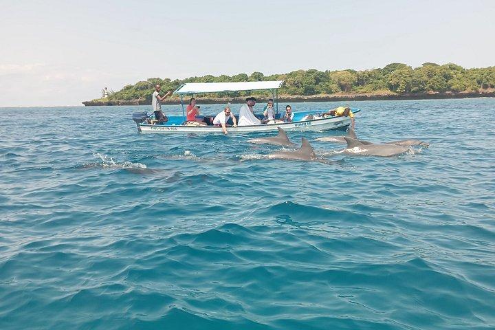Wasini Dolphin et plongée en apnée