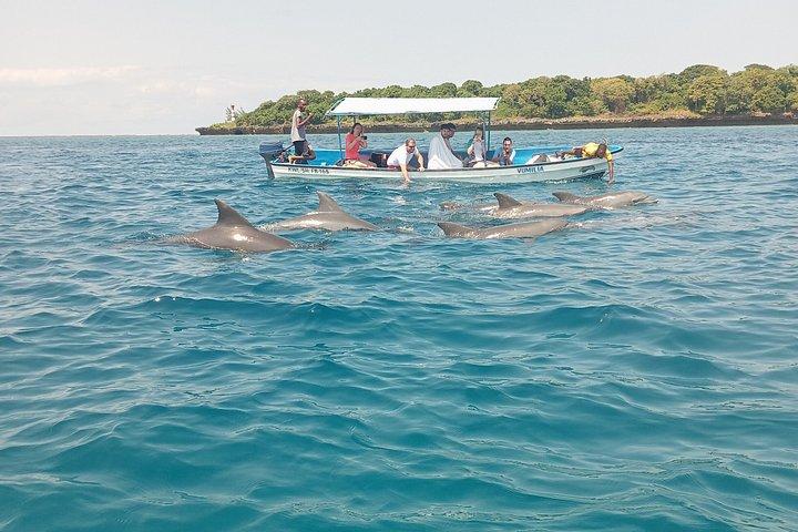 Wasini Dolphin et plongée en apnée