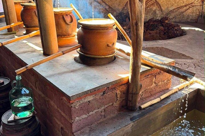 Private Oaxaca Day Tour: Tule, Teotitlan, Mitla & Mezcal
