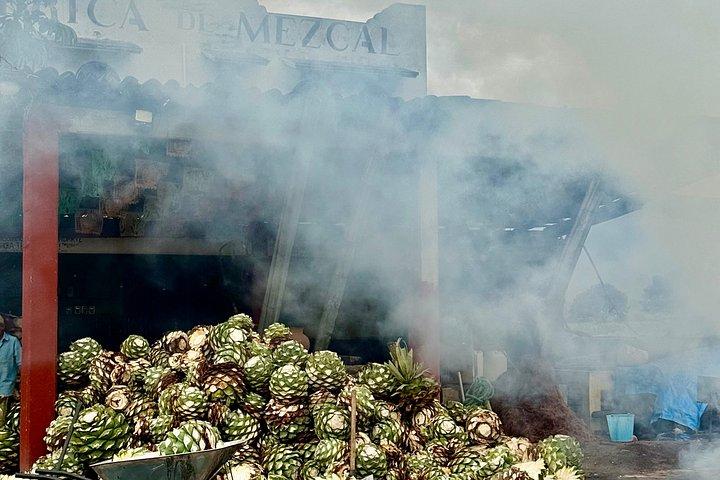 Private Oaxaca Day Tour: Tule, Teotitlan, Mitla & Mezcal