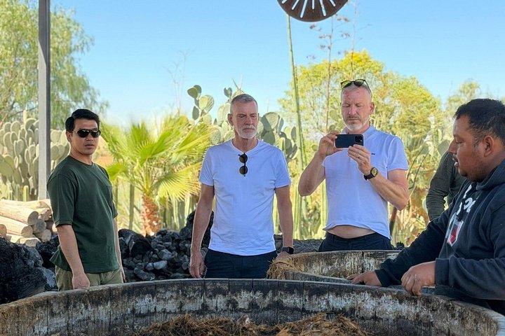 Private Oaxaca Day Tour: Tule, Teotitlan, Mitla & Mezcal