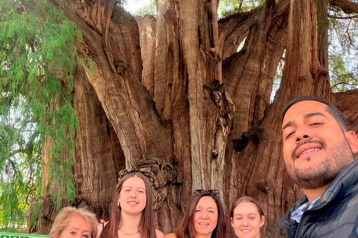 Private Oaxaca Day Tour: Tule, Teotitlan, Mitla & Mezcal