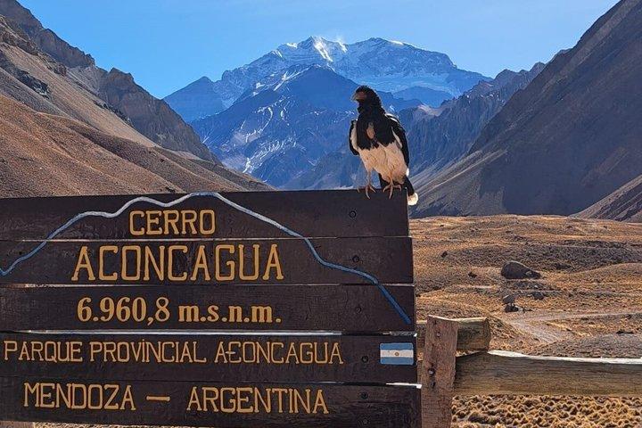 Escursione di un giorno sulle Ande da Mendoza, con visite all'Aconcagua, a Uspallata e al Puente del Inca