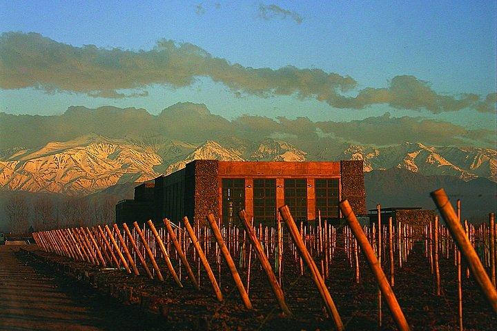Uco Valley Luxury Wine Experience with Salentein